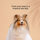 BioSilk For Dogs Silk Therapy Coconut Oil Shampoo, , large image number null